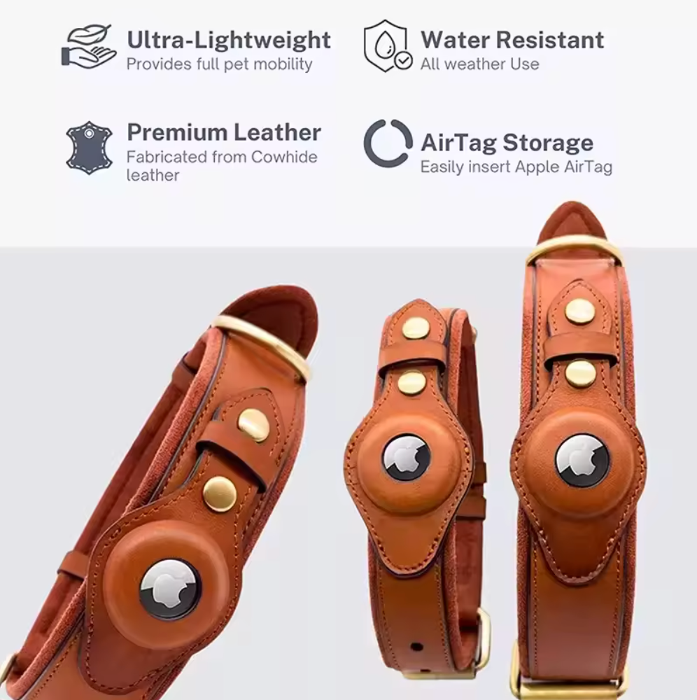 Leder Hundehalsband für AirTag & GPS – Handgemacht, Verstellbar (Haselnuss)