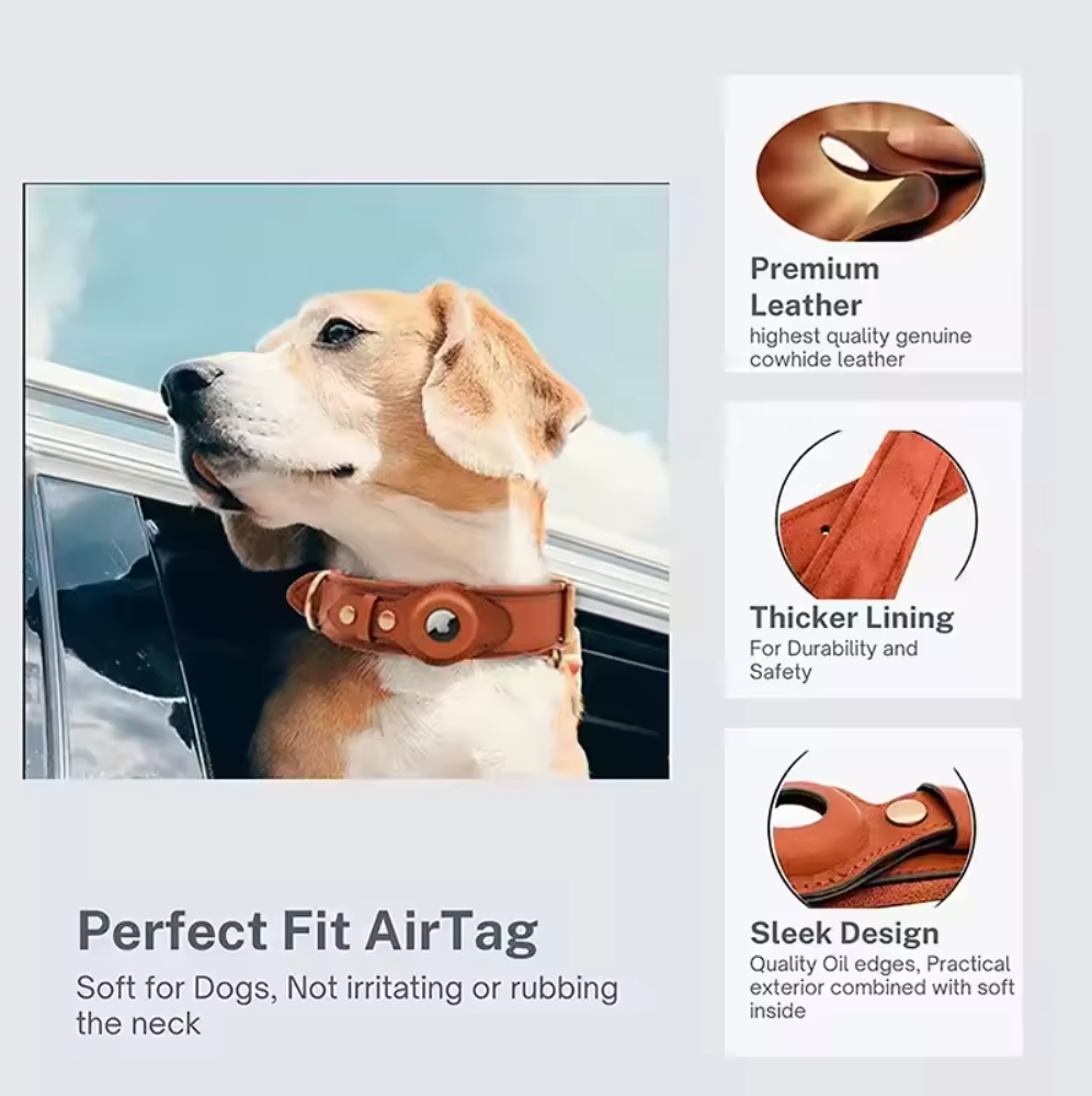 Leder Hundehalsband für AirTag & GPS – Handgemacht, Verstellbar (Haselnuss)